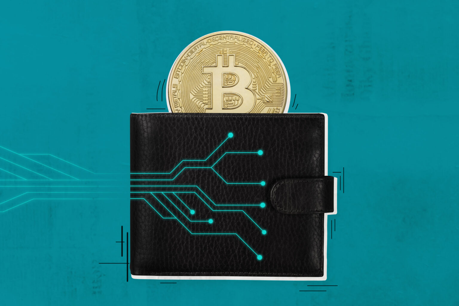 best software wallets crypto